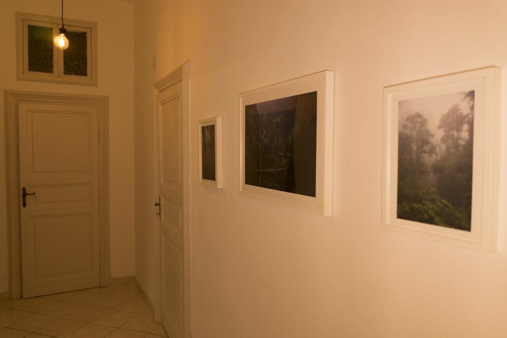 Trastevere Corner Eight ローマ エクステリア 写真