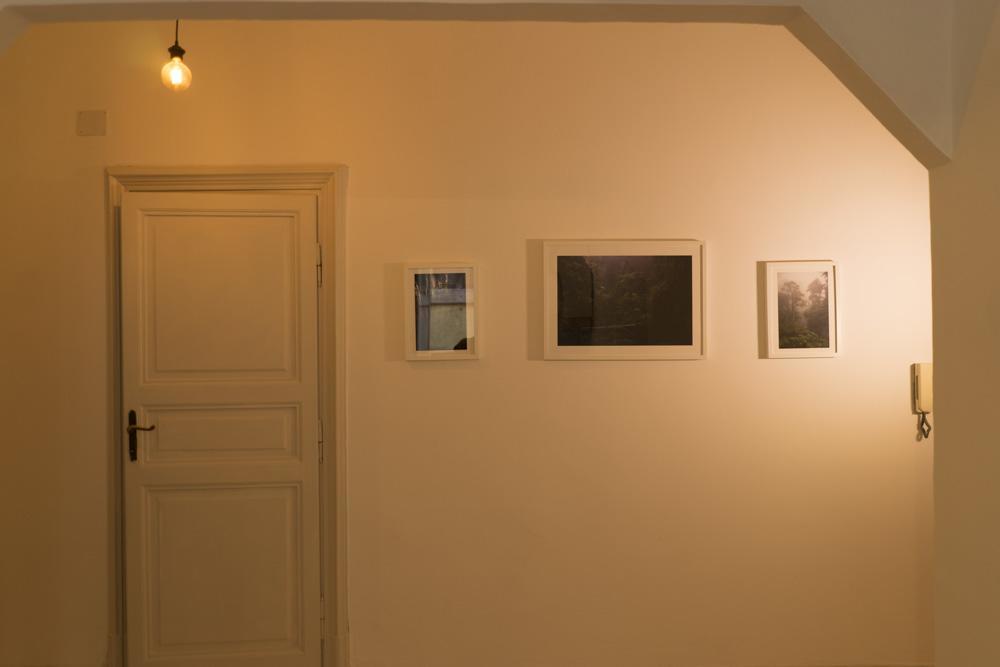 Trastevere Corner Eight ローマ エクステリア 写真